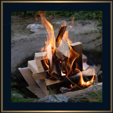 Buchenbrennholz – trocken | Brennholz für Ofen, Grill, Lagerfeuer – 20 kg | ökologisch